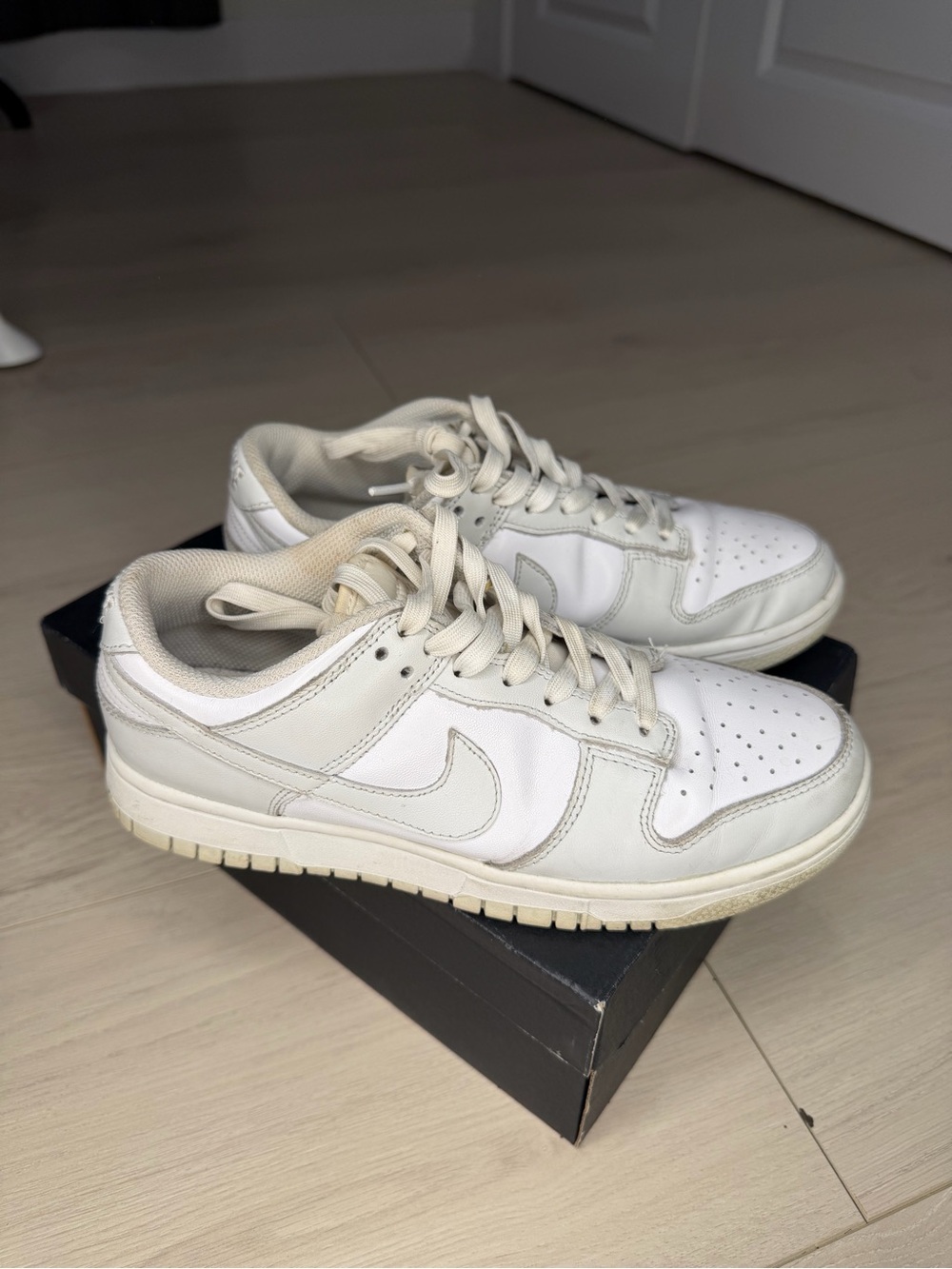 Nike photon dust- white dunk low